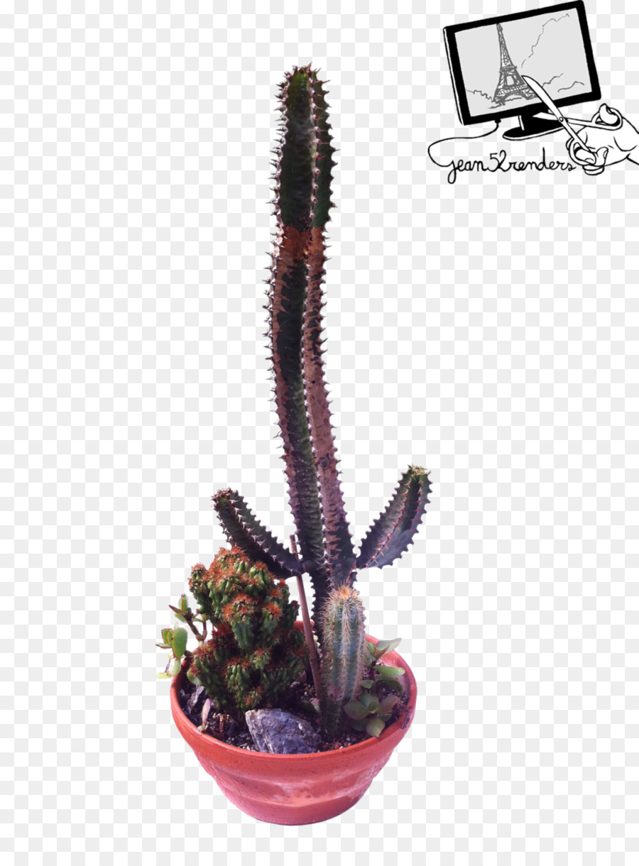 Citroën Cactus M，Flowerpot PNG
