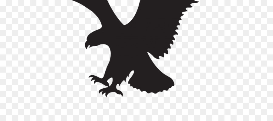 Aigle Silhouette，Faucon PNG