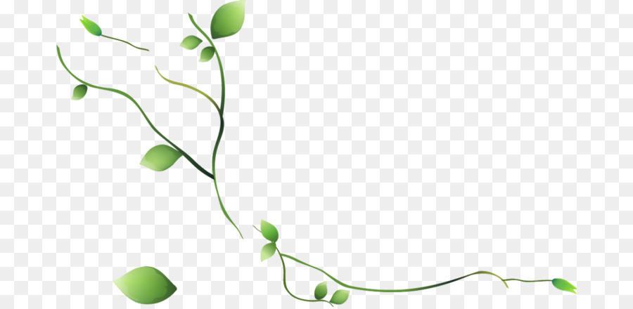 Plante Abstraite，Feuilles PNG