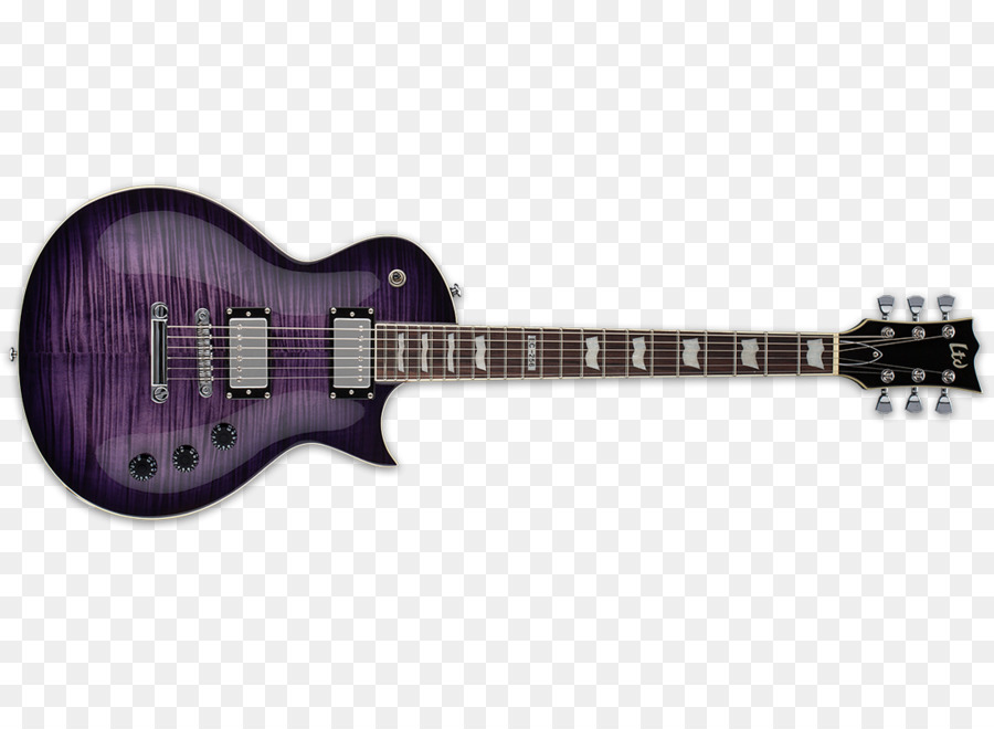 Guitare Double Rose，Cordes PNG