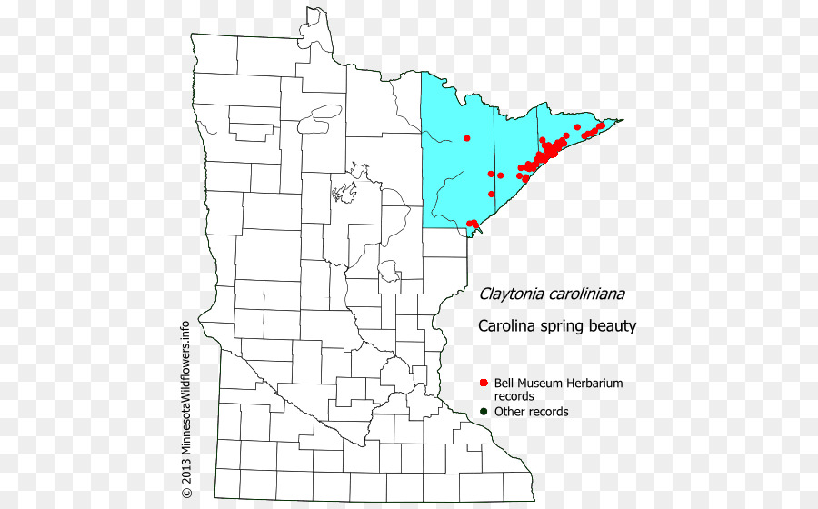 Murray County Minnesota，Pine County Minnesota PNG