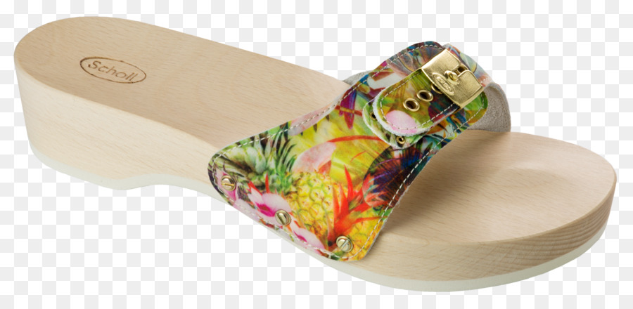 Des Tongs，Pantoufle PNG