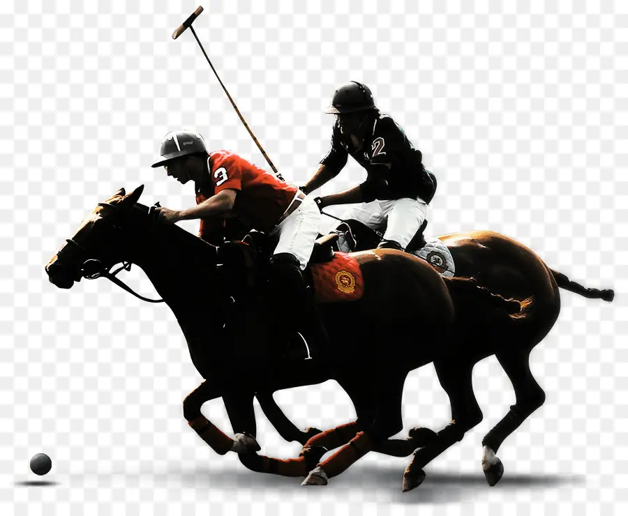 Polo，Cheval PNG