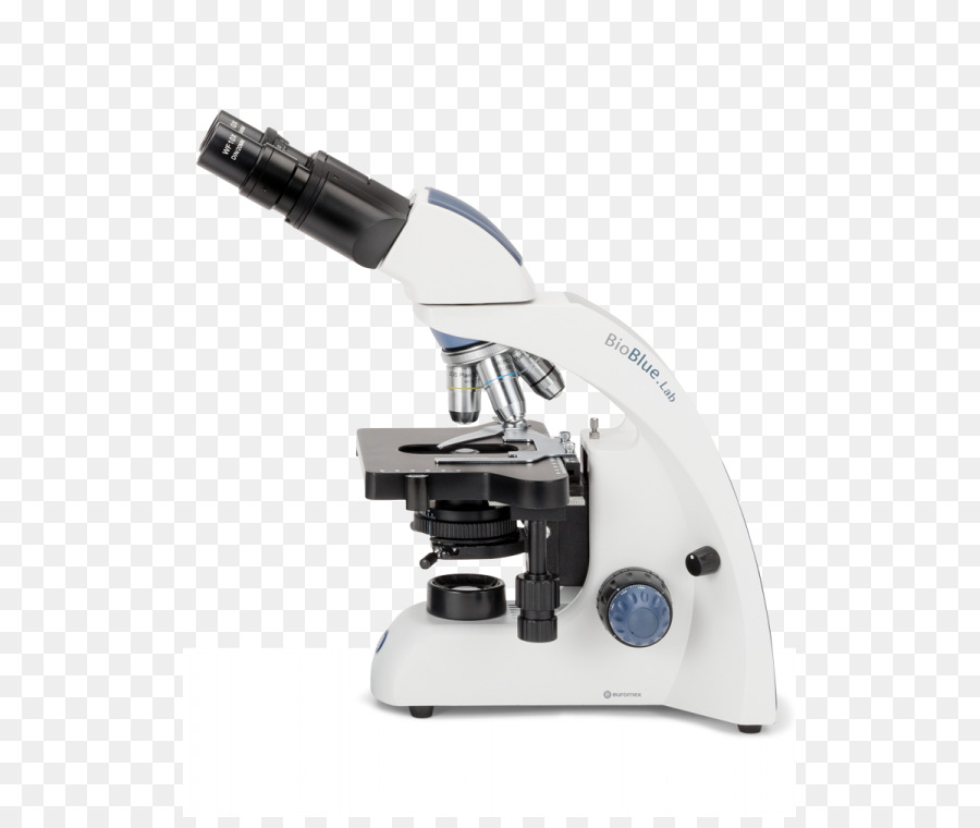 Microscope，Laboratoire PNG