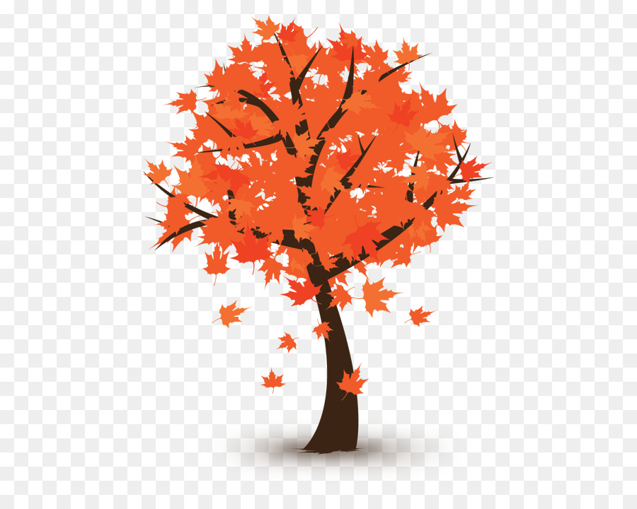 Arbre D'automne，Feuilles PNG