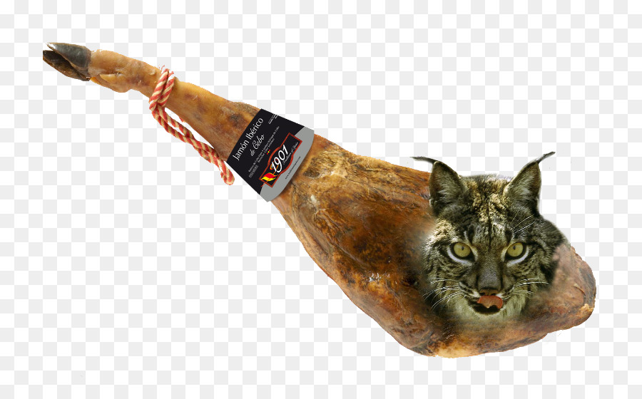 Noir De Porc Ibérique，Jambon PNG