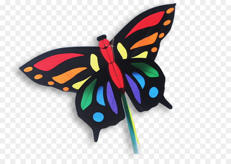 Papillon Coloré，Insecte PNG