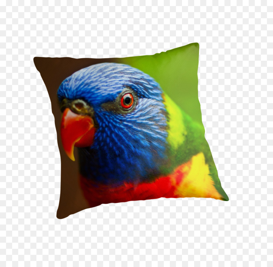 Ara，Coussin PNG