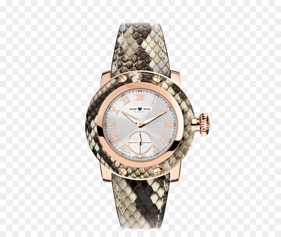Regarder，Rolex Oyster Perpetual PNG