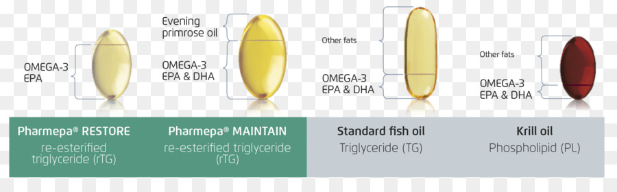 Triglycéride，Papier PNG