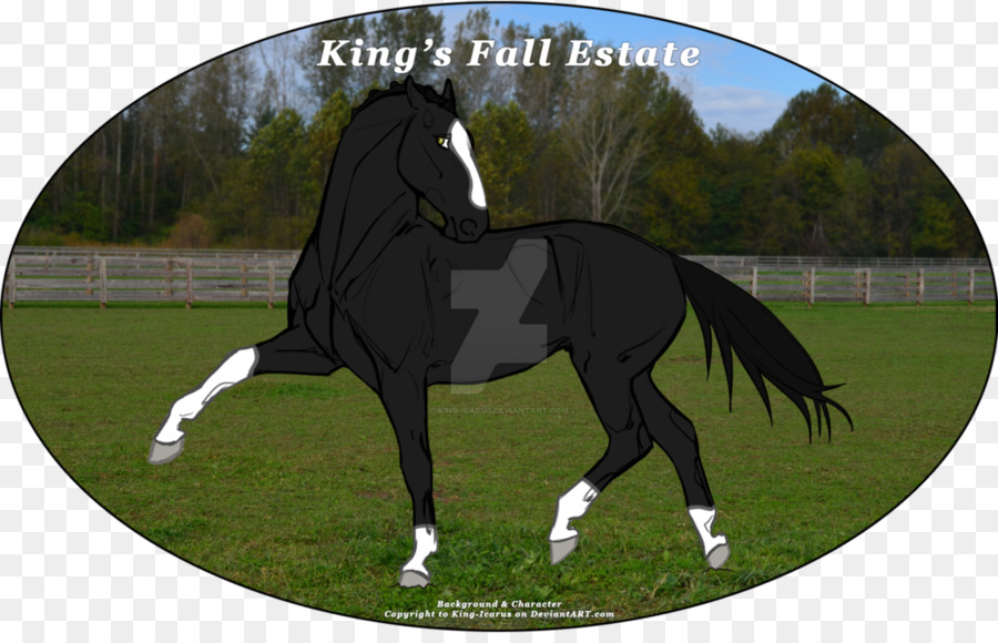 Étalon，Dressage PNG