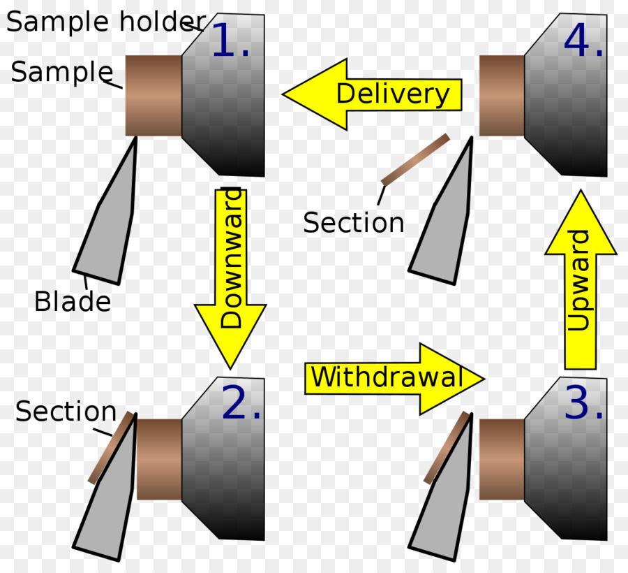 Microtome，Tissu PNG