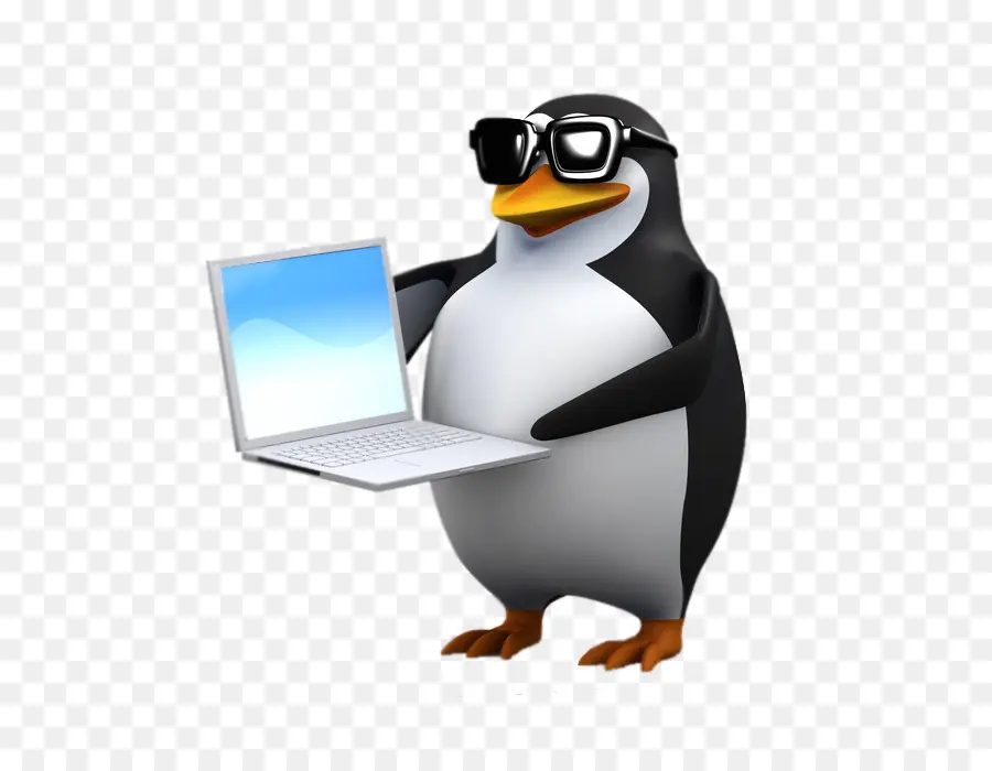 Pingouin Avec Ordinateur Portable，Manchot PNG