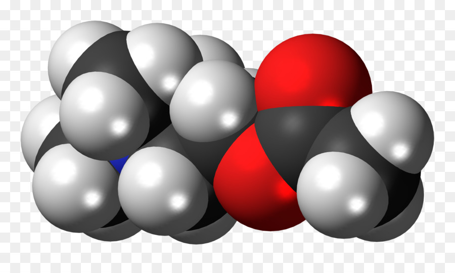 Molécule，Atomes PNG