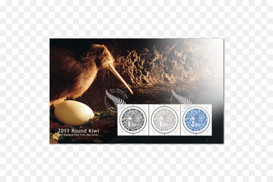 Petit Kiwi Tacheté，Oiseau PNG