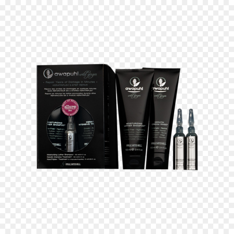 Amer Gingembre，Paul Mitchell Awapuhi Wild Ginger Hydratante Faire Mousser Le Shampooing PNG