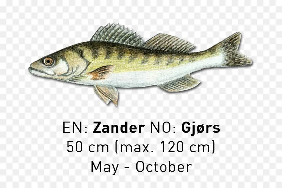 Poisson Sandre，Gjörs PNG