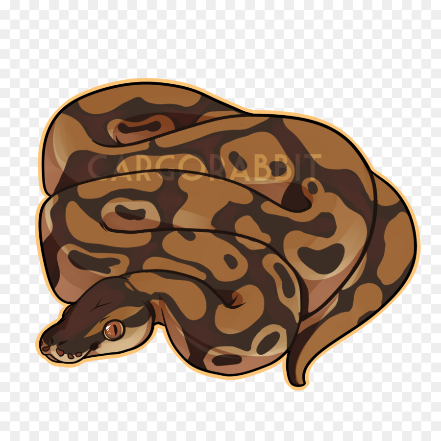 Tshirt，Python De Bille PNG