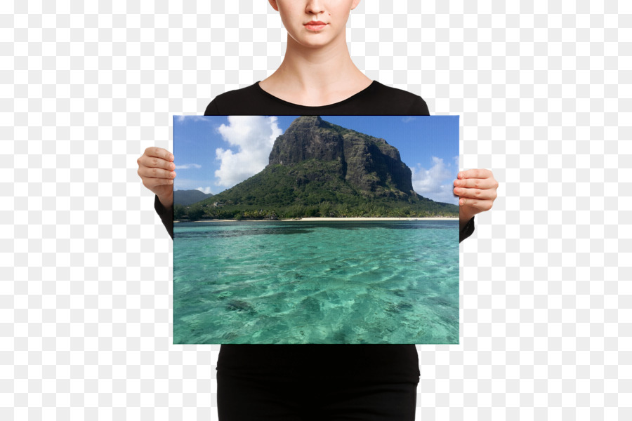 L Impression Sur Toile，Toile PNG