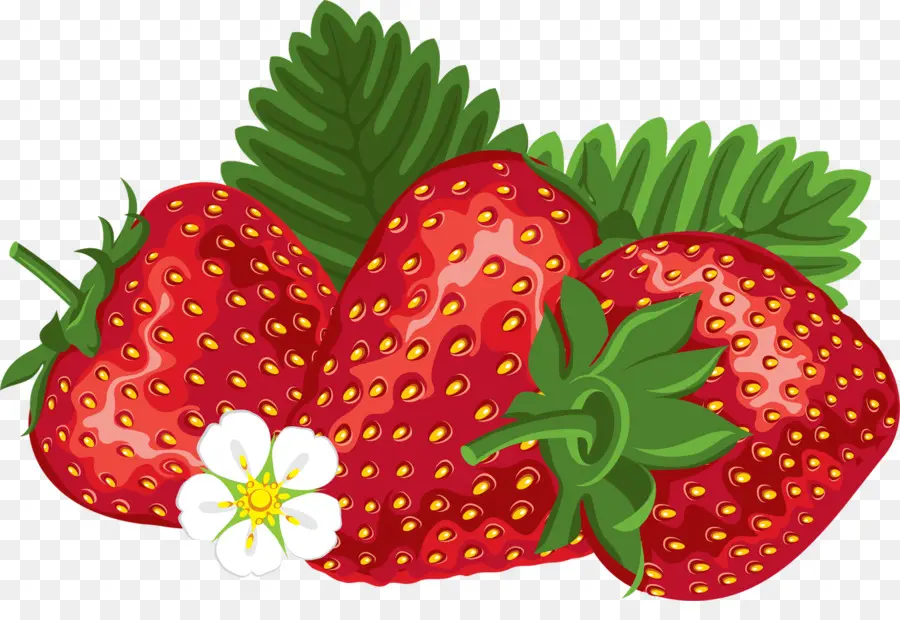 Fraise，Baie PNG