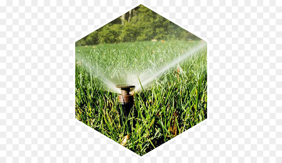 Irrigation Par Aspersion，Culture PNG