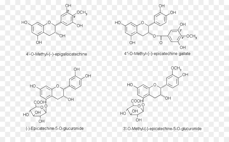 Structure Chimique，Molécule PNG