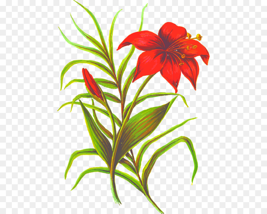 Fleur，Feuille PNG