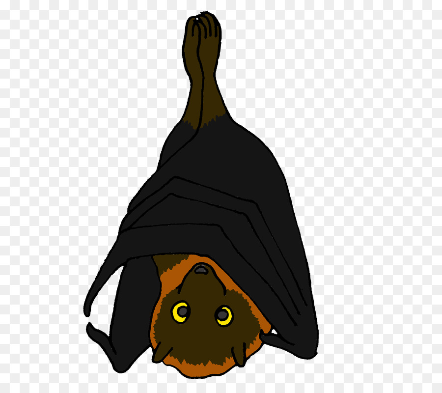 Chauve Souris，Rodrigues Flying Fox PNG