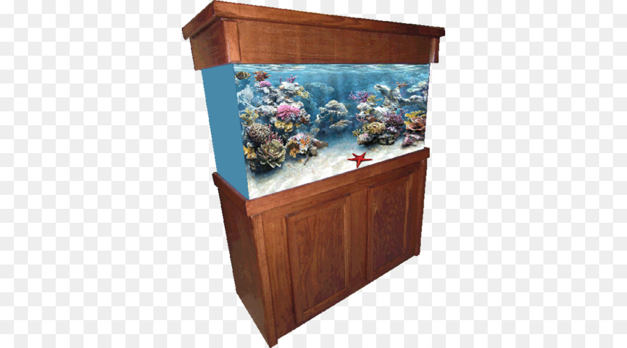 Aquarium，Aquarium Récifal PNG