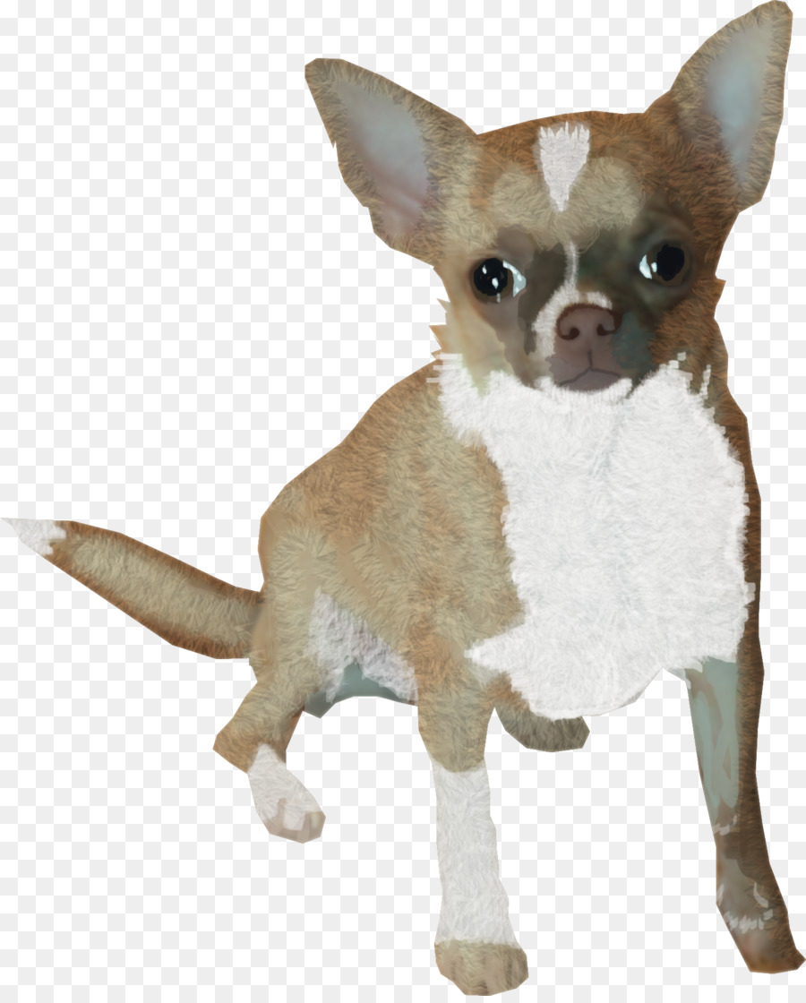 Chihuahua，Chiot PNG