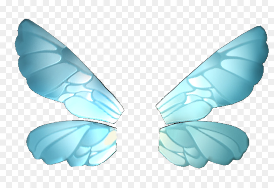Papillon，Ailes De Papillon PNG