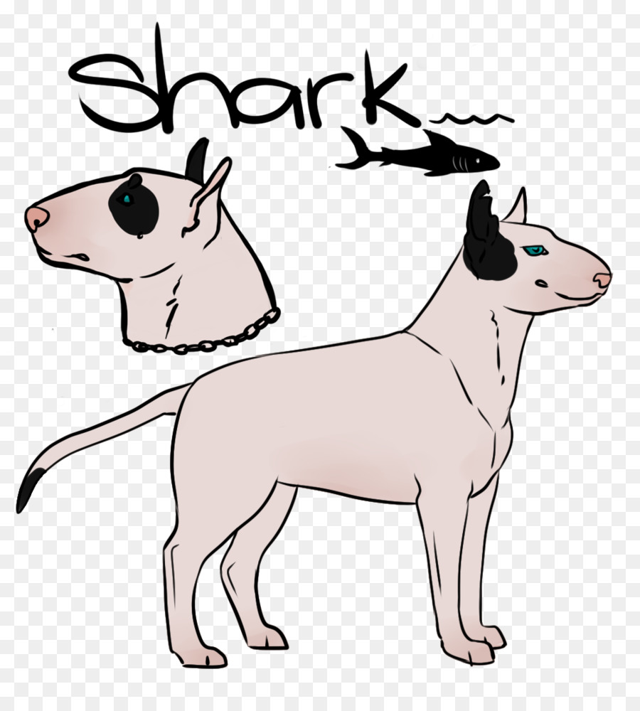 Bull Terrier，Chiot PNG