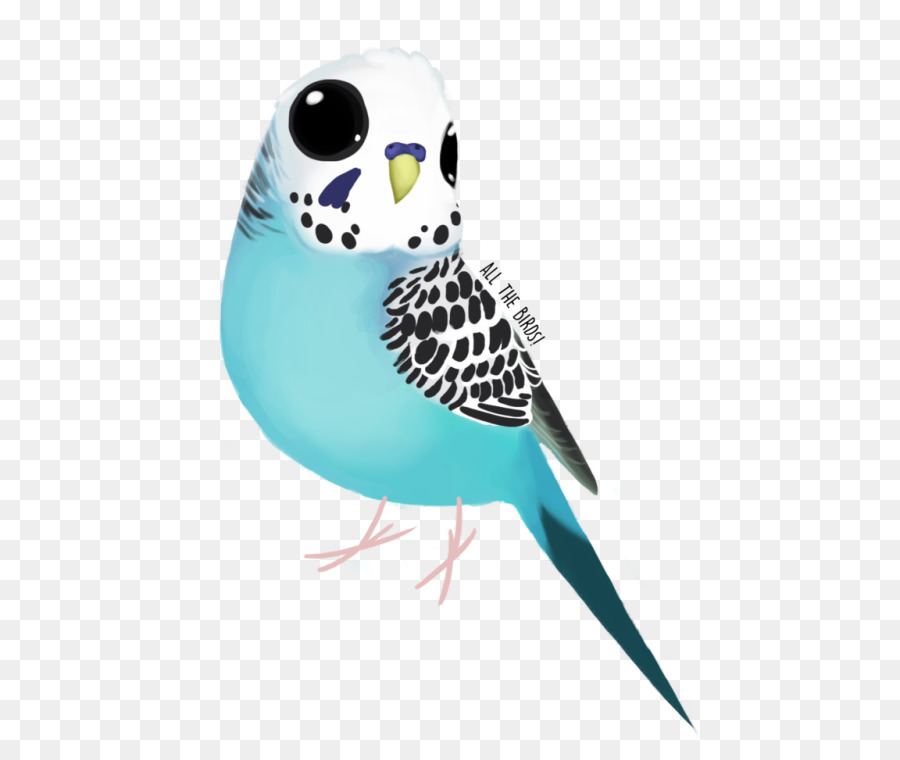 Oiseau，Bleu PNG