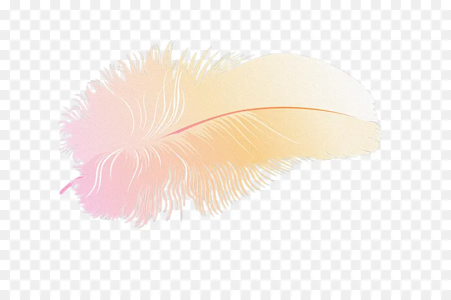 Plume，Doux PNG