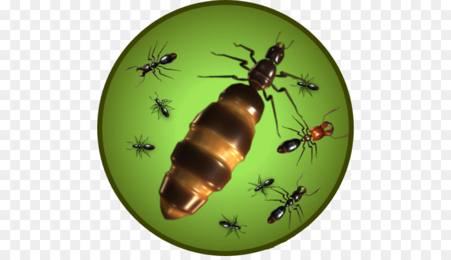 Fourmis，Reine PNG