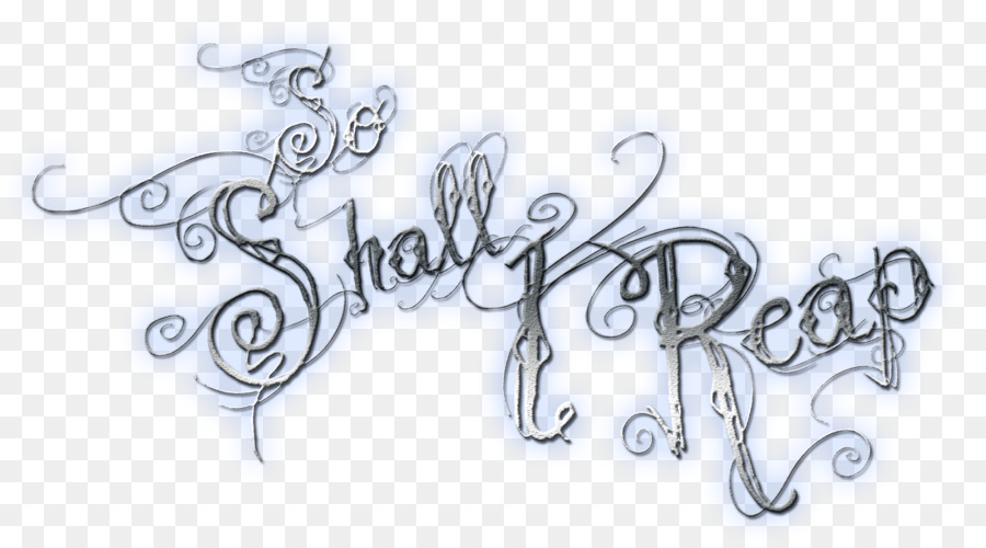 L Art En Ligne，La Calligraphie PNG