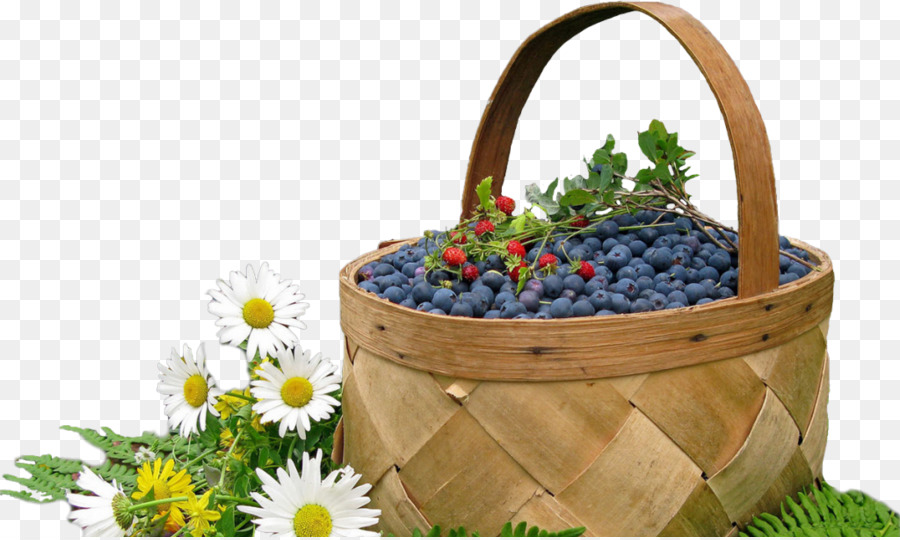 Berry，Bleuets PNG