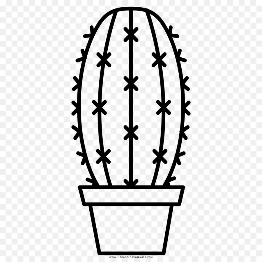 Cactus，Pot PNG