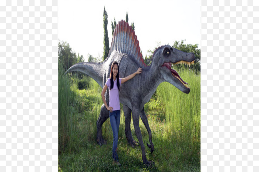 Dinosaure，Velociraptor PNG