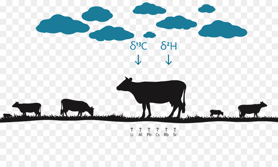 Les Bovins，Les Moutons PNG