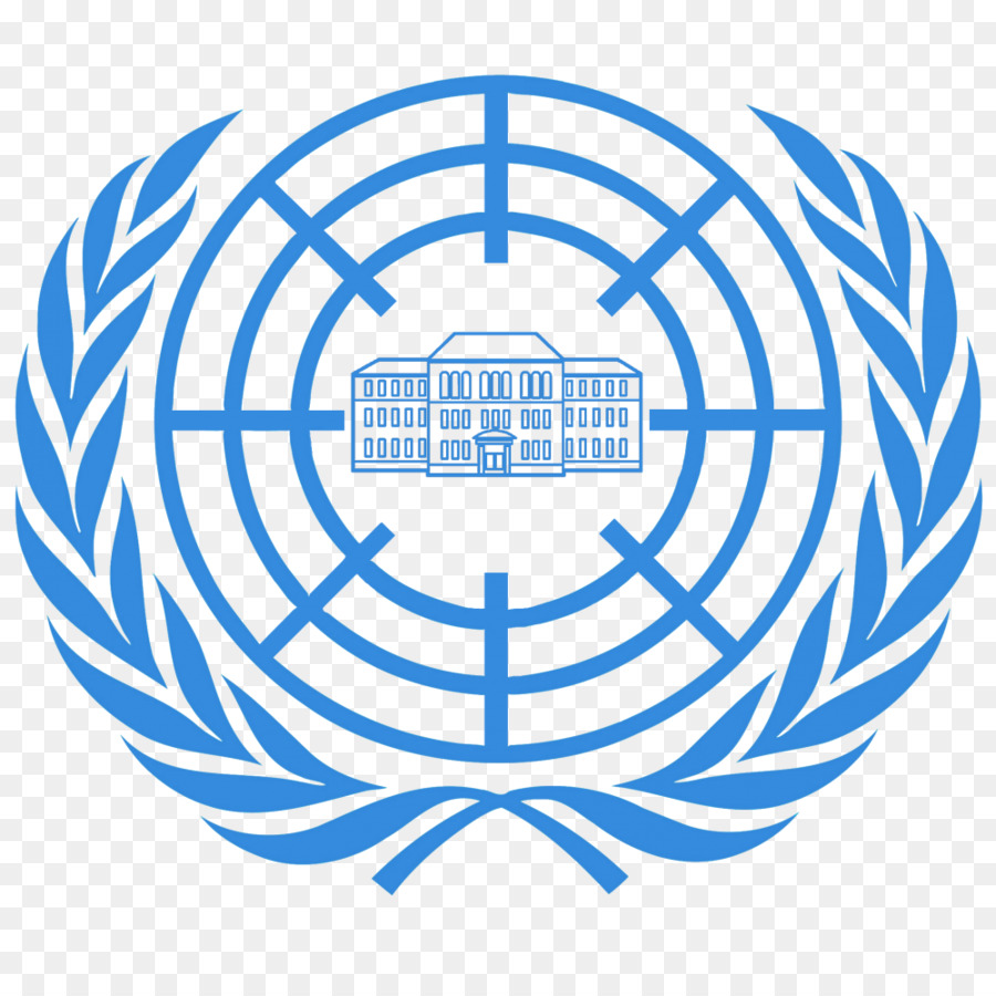 Des Nations Unies，United Nations Assistance Mission Pour L Irak PNG