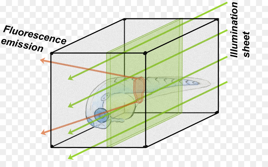 Ligne，Point PNG