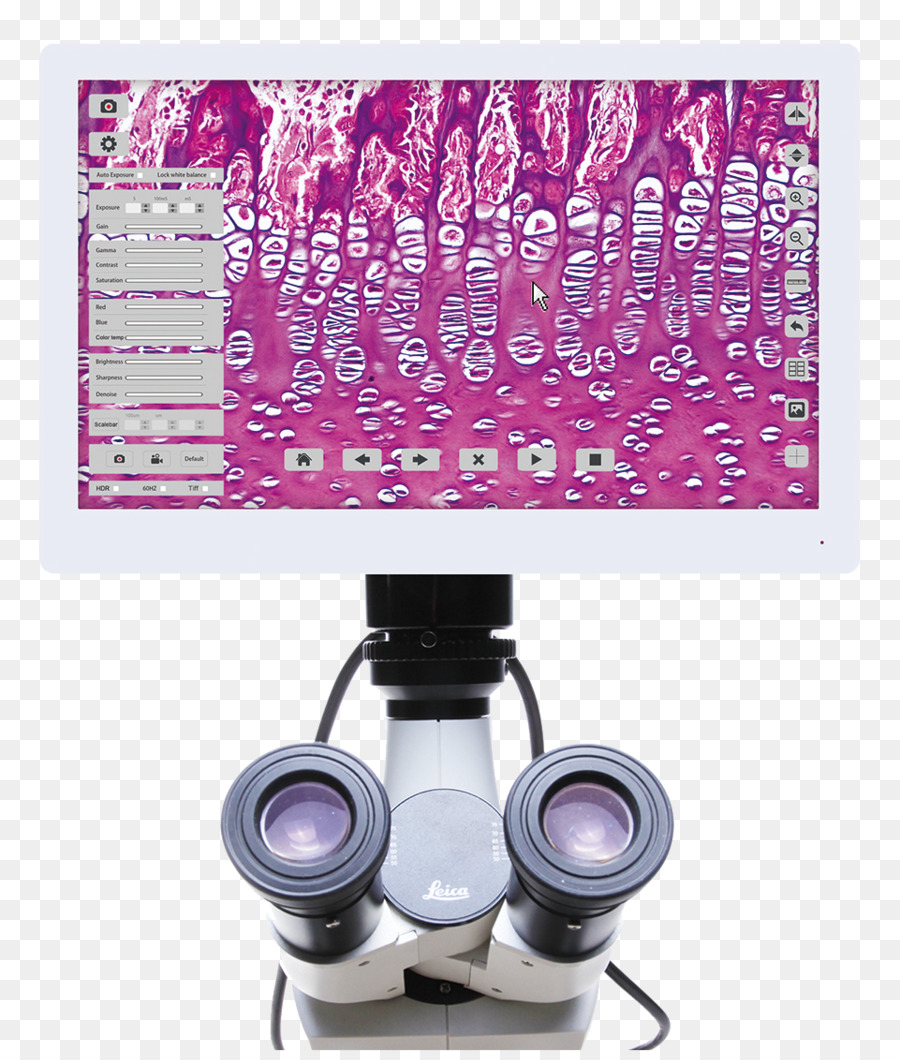 Microscope Numérique，Microscope PNG