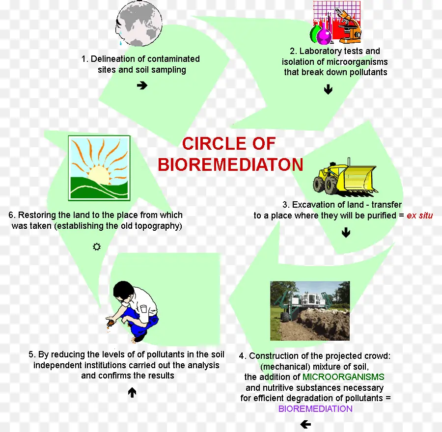 La Bioremédiation，Biologie PNG
