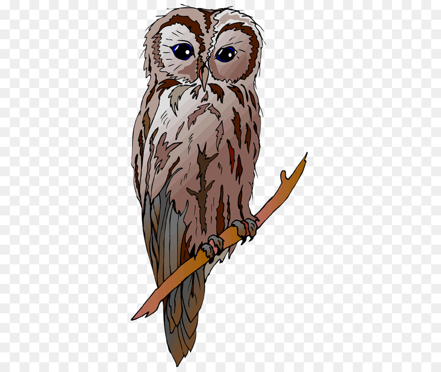 Hibou，Mignon PNG