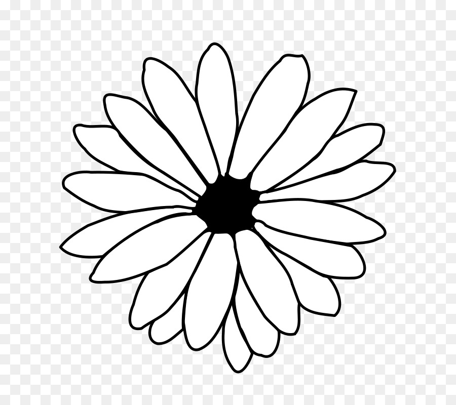 Croquis De Fleurs，Contour PNG