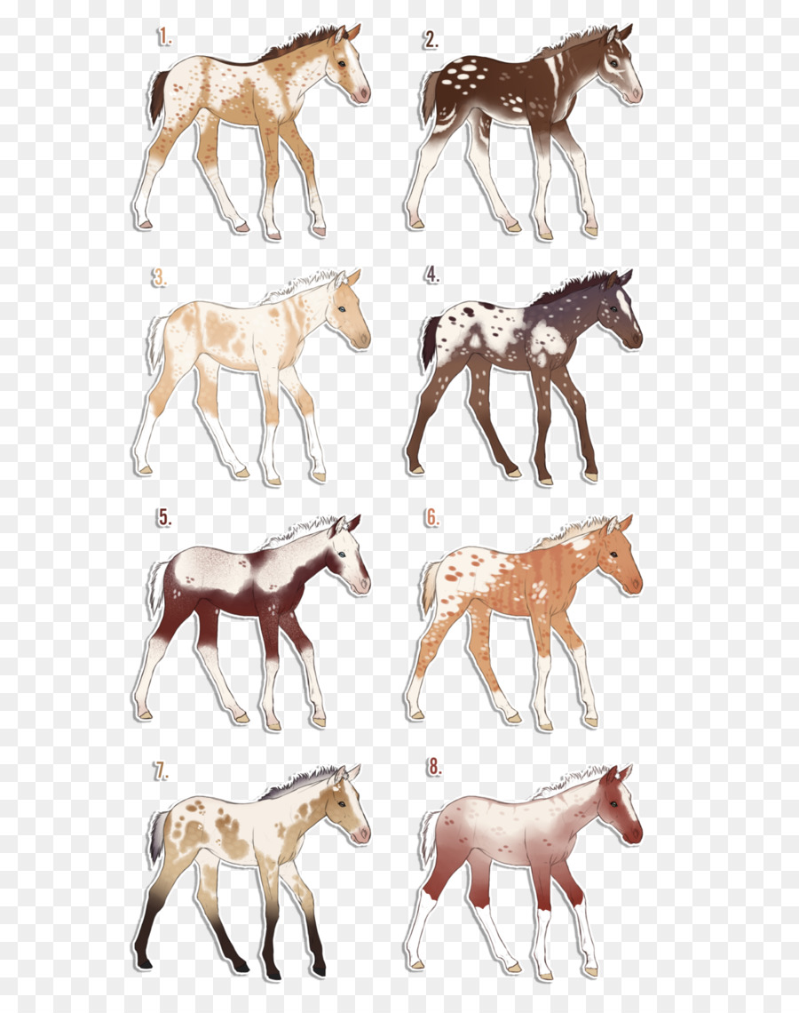 Modèles De Chevaux，Cheval PNG