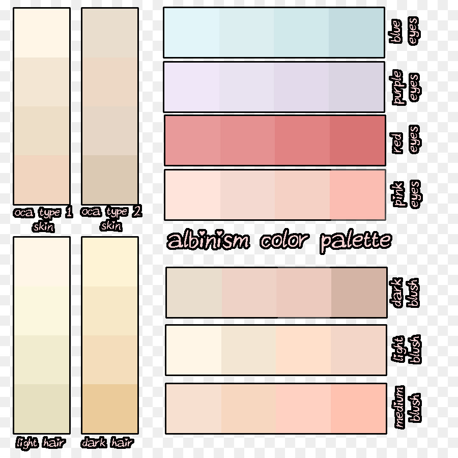 Palette De Couleurs，Tons De Peau PNG