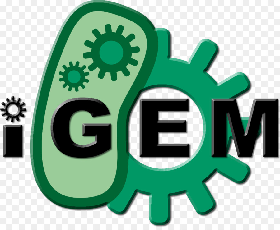 Machine Internationale Génétiquement Modifiée，Ingénierie Génétique PNG