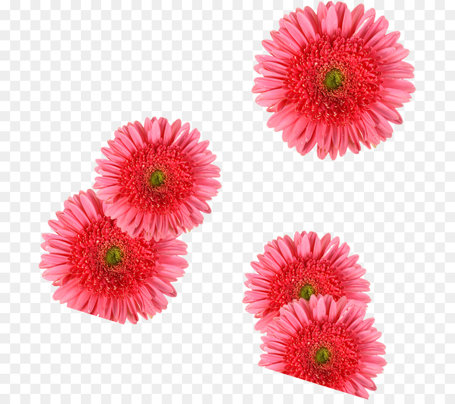 Fleurs，Fleurir PNG